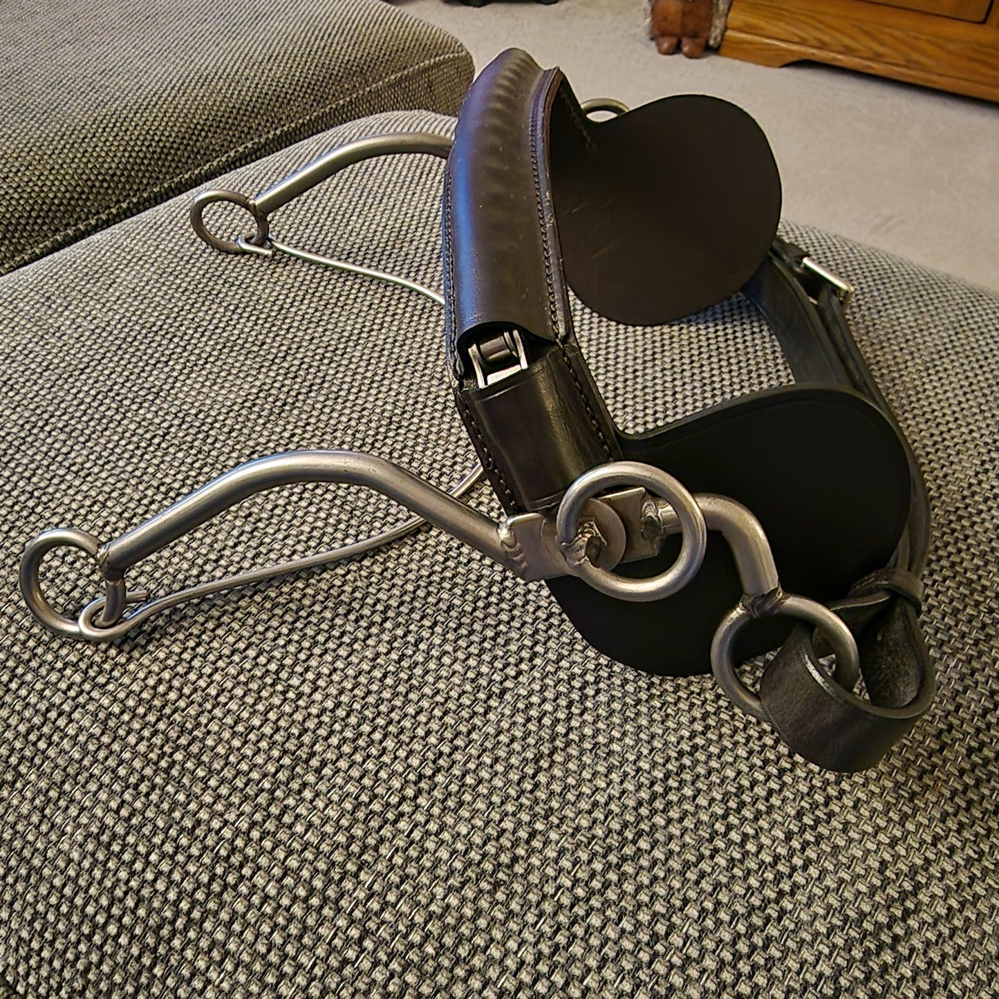 Kate negus Continental hackamore