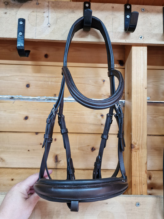 Cob brown Colligate flash bridle