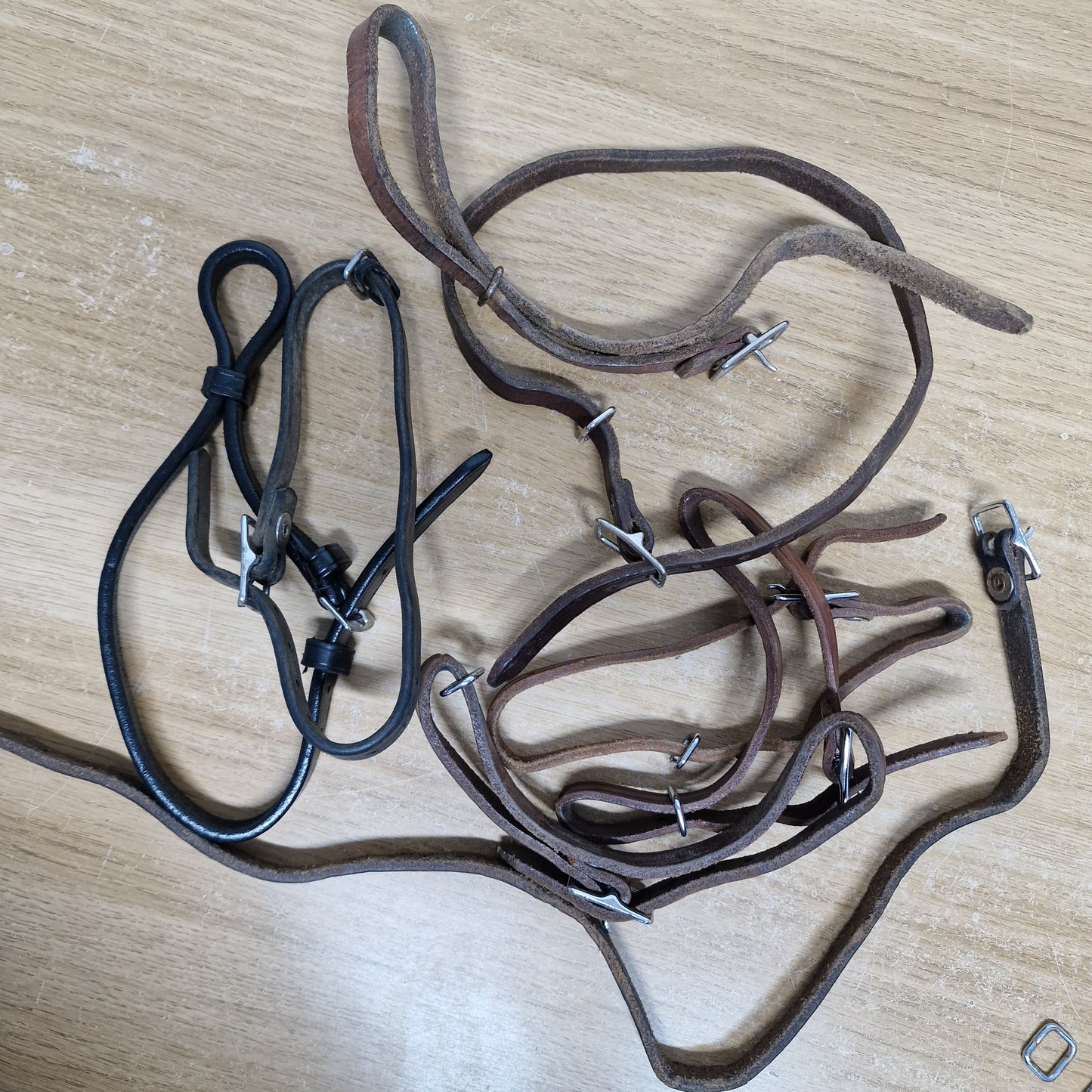 Secondhand Myler curb straps ‐ brown