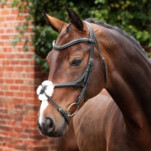 Velociti LUSSO Opus 180M Grackle Bridle