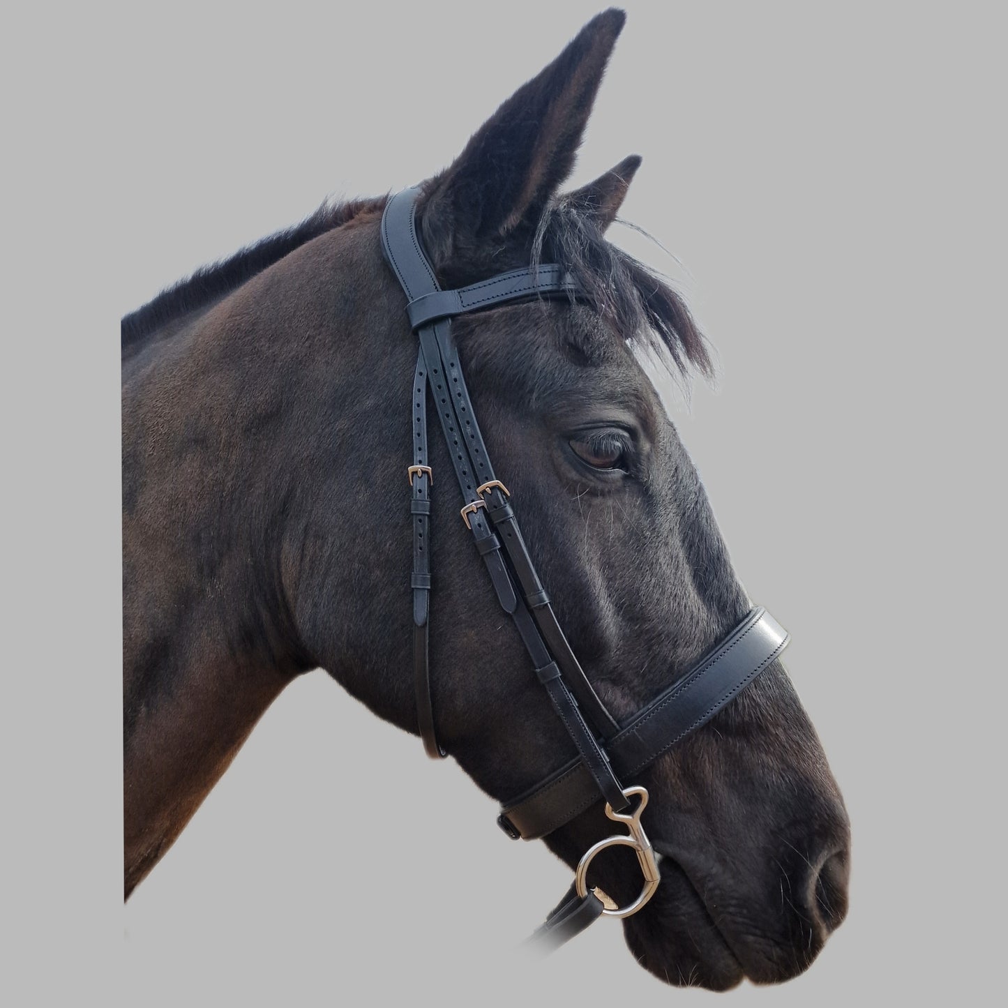 TBD Comfort Padded 1.5" Hunter Bridle