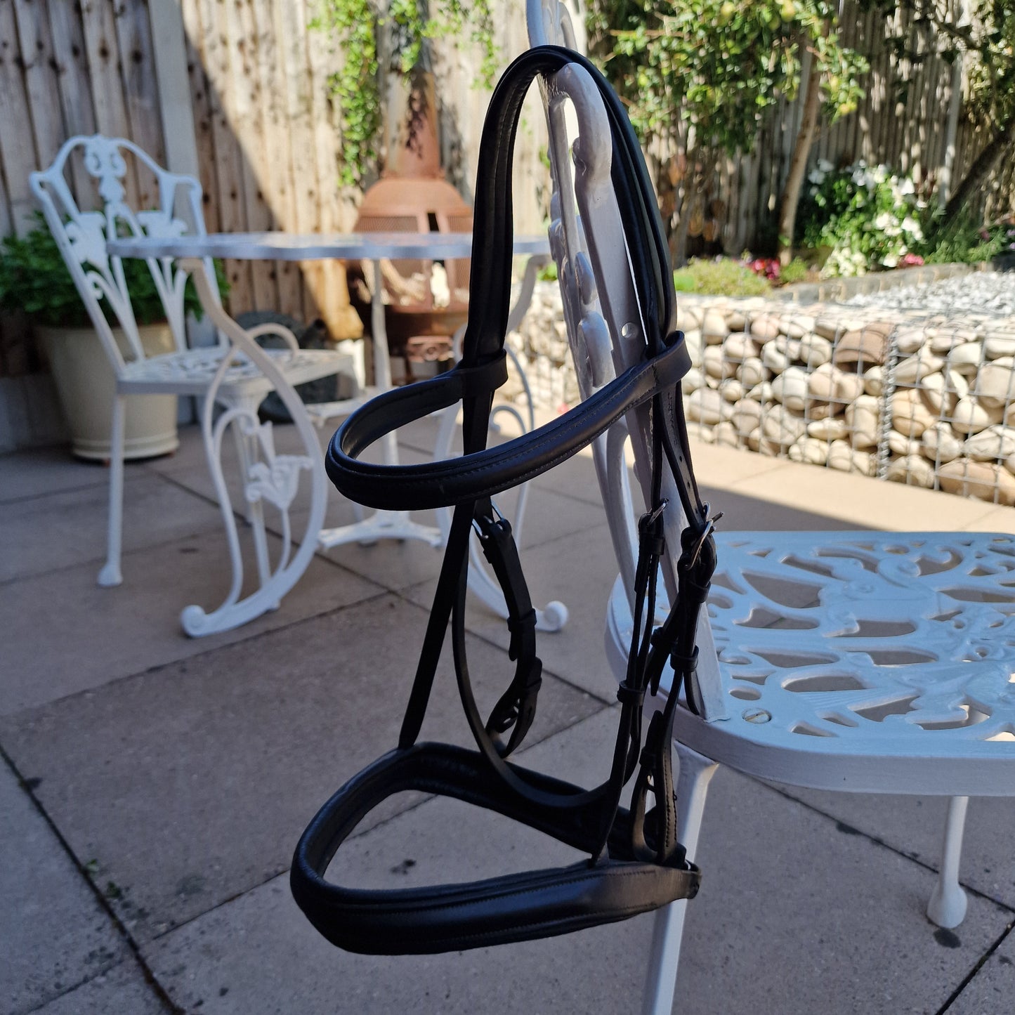 Full black Elevator padded cavesson bridle A25