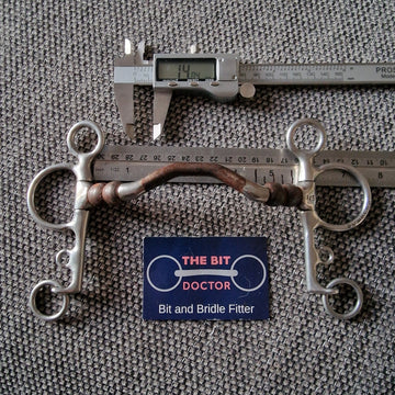 The Bit Doctor Horse Bit and Bridle Fitter