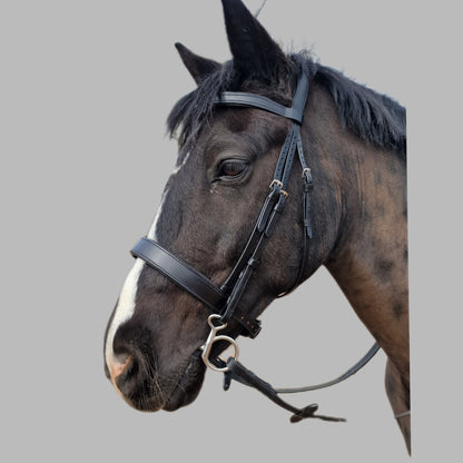 TBD Comfort Padded 1.5" Hunter Bridle