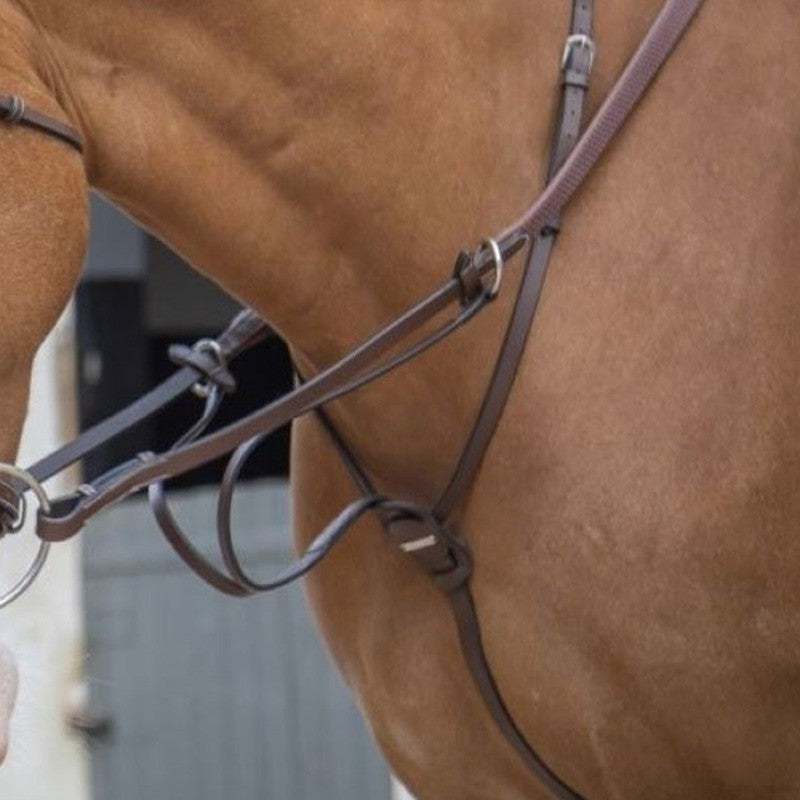 Jump'In Running Martingale - One Collection