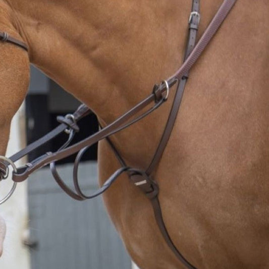 Jump'In Running Martingale - One Collection