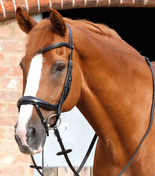 Premier Equine Savuto Anatomic Bridle with Crank Noseband & Flash