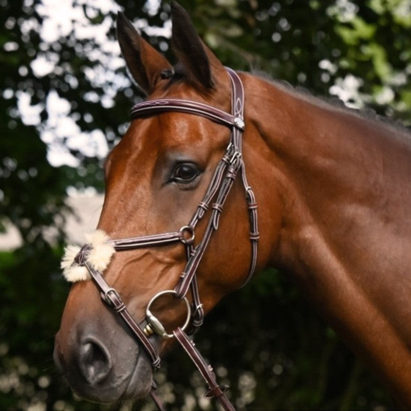Jump'In Thursday Bridle Grackle noseband- Week Collection