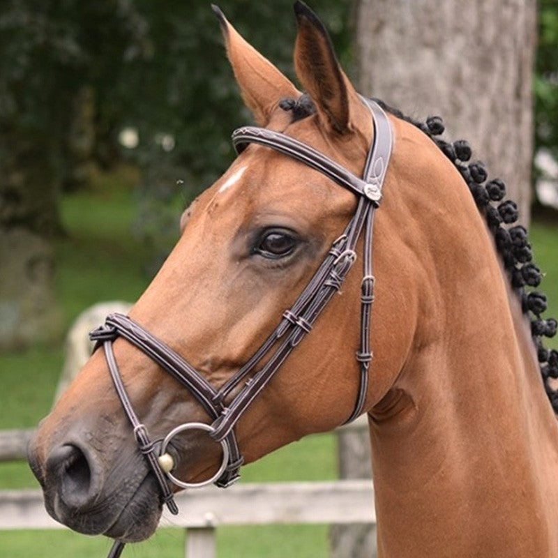 Jump'In Thursday Bridle Flash noseband- Week Collection