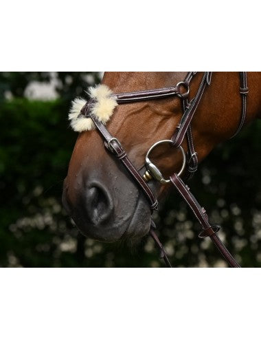 Jump'In Thursday Bridle Grackle noseband- Week Collection