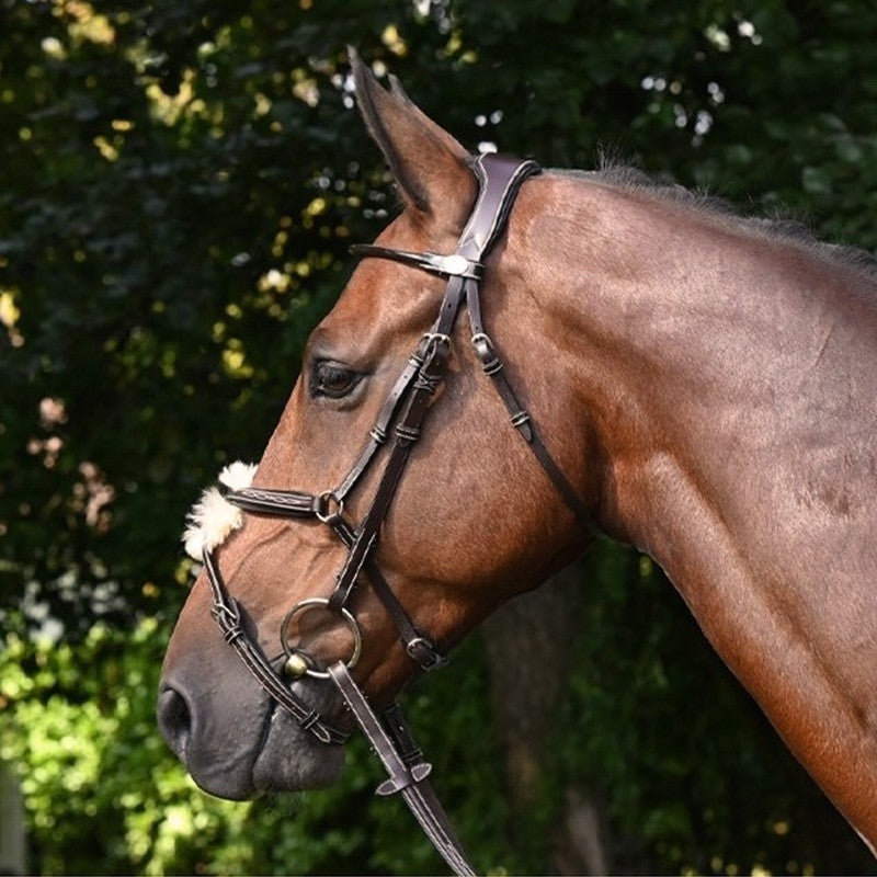 Jump'In Wednesday Bridle Grackle noseband- Week Collection