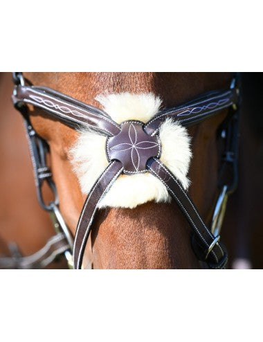 Jump'In Wednesday Bridle Grackle noseband- Week Collection