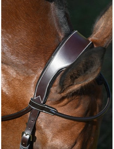 Jump'In Wednesday Bridle Grackle noseband- Week Collection