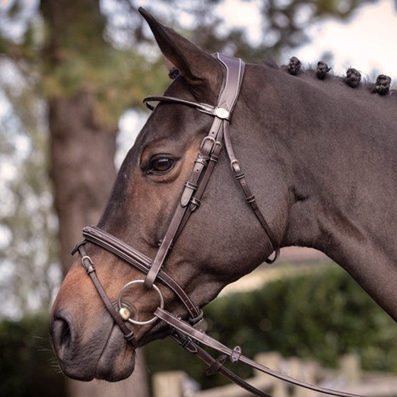 Jump'In Wednesday Bridle Flash noseband- Week Collection