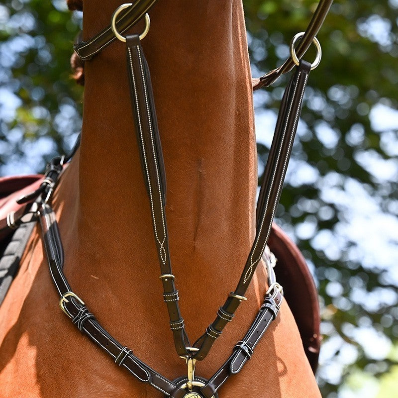 Jump'In Running Martingale Attachement for Wednesday and Crystal breastplate