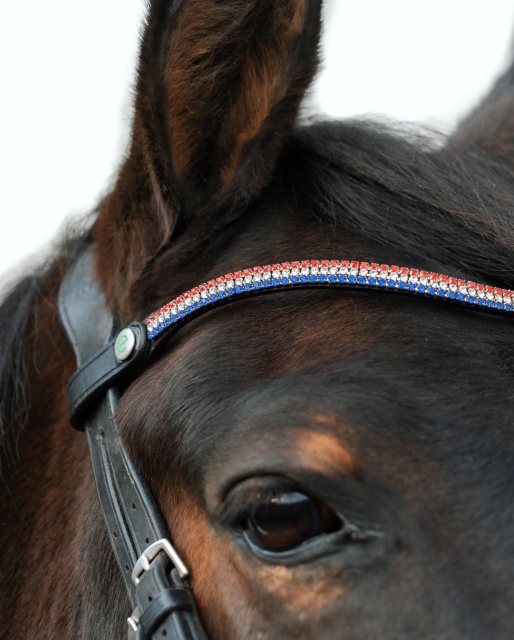 Ecorider Freedom Victoria Browband