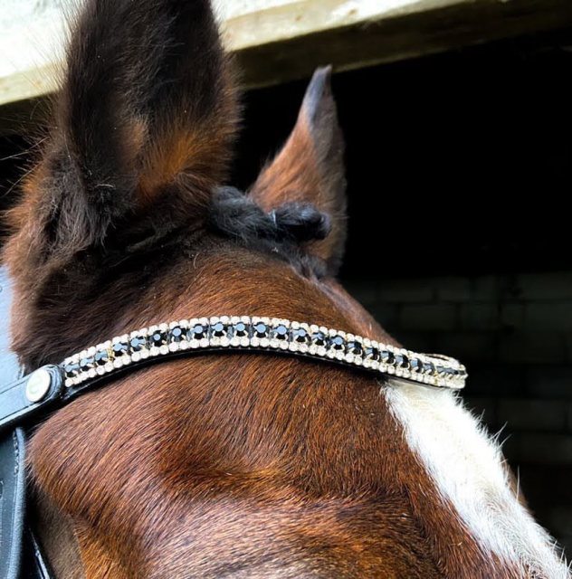 Ecorider Freedom Juliette Browband