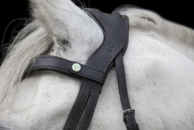 Ecorider Freedom Comfort Browband