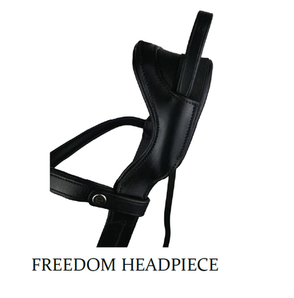 Ecorider Freedom Headpiece