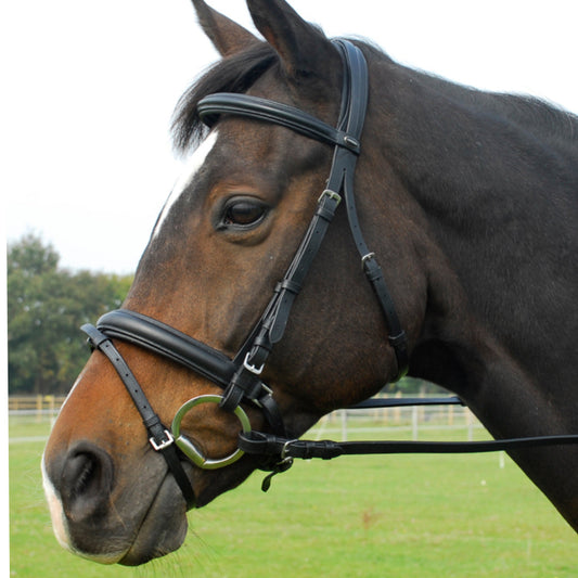 Heritage English Leather Comfort Bridle With Flash Noseband